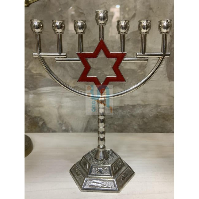 Menorah With Traditional Star Of David Bronze